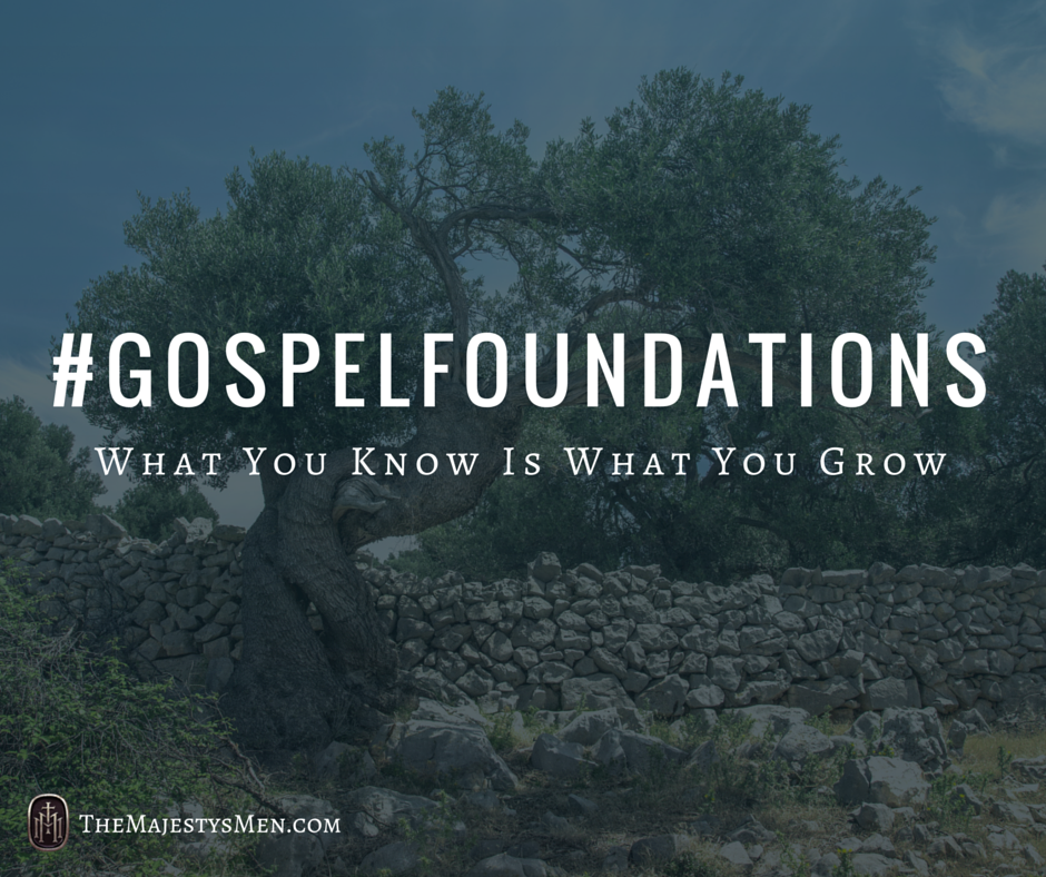 gospel foundations tree know grow