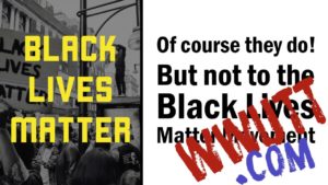 black lives matter divides