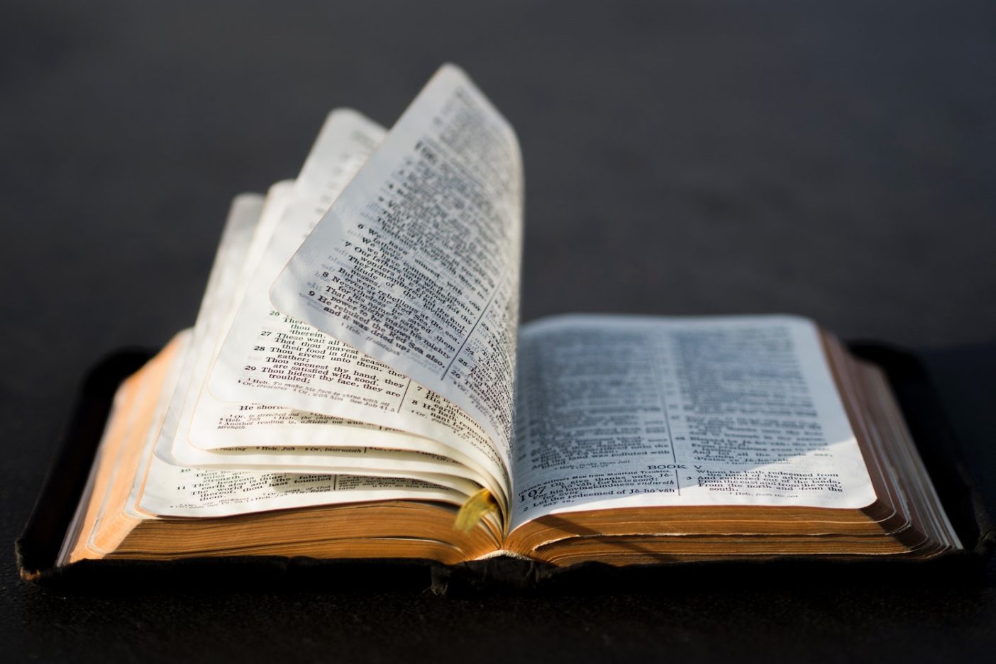 How to Read Your Bible: A Primer